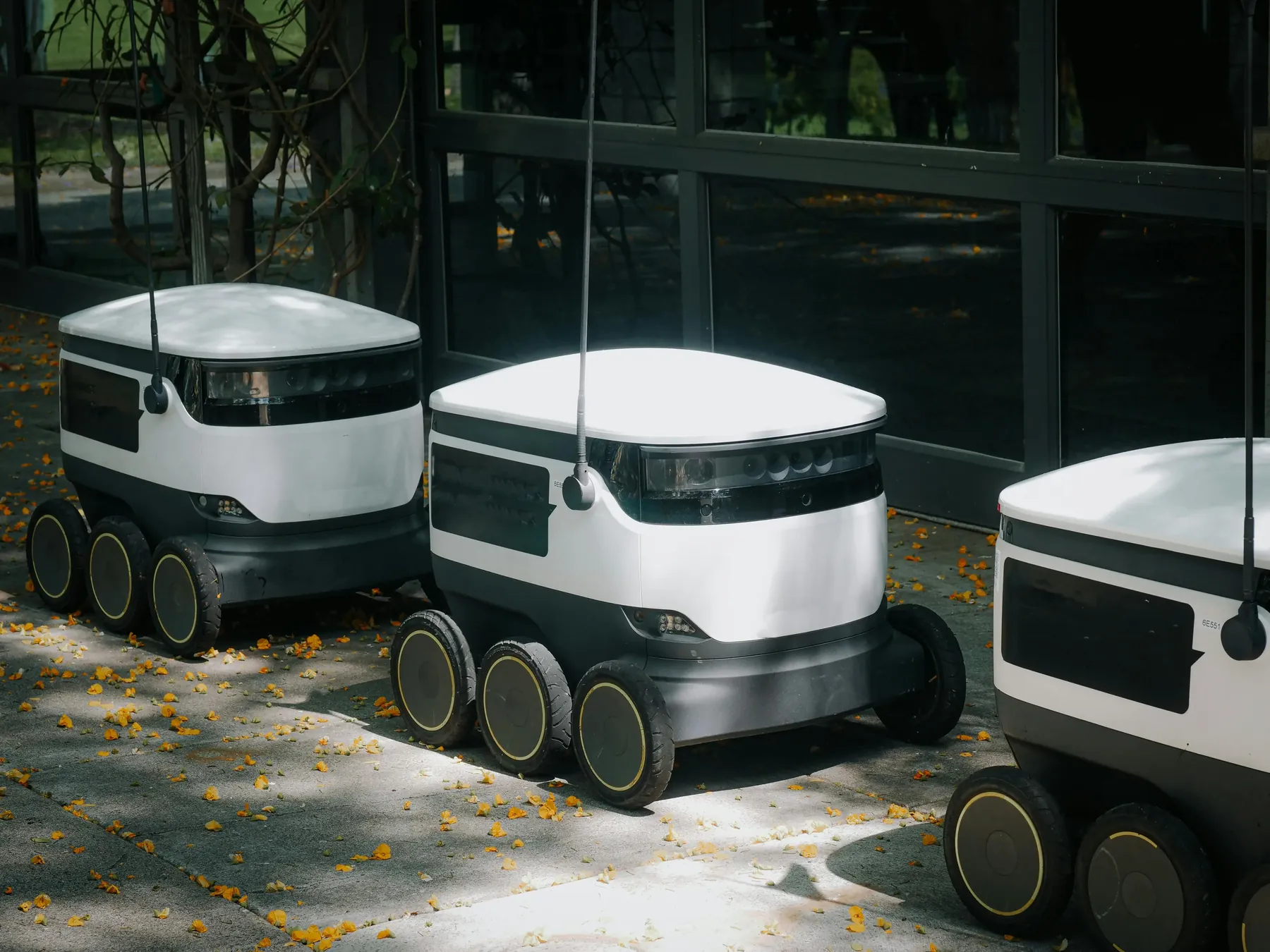 Geospatial Solutions Enhanced by AI